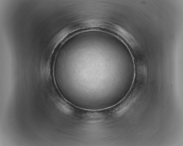 X0000111931023200908171232