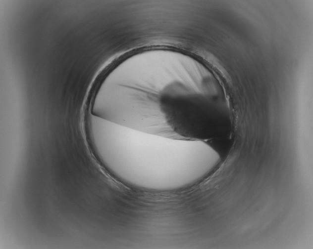 X0000111931024200908171232