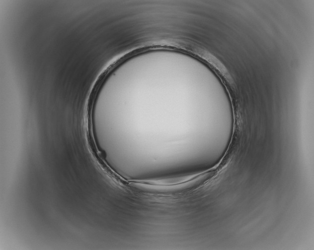 X0000111931028200908171232