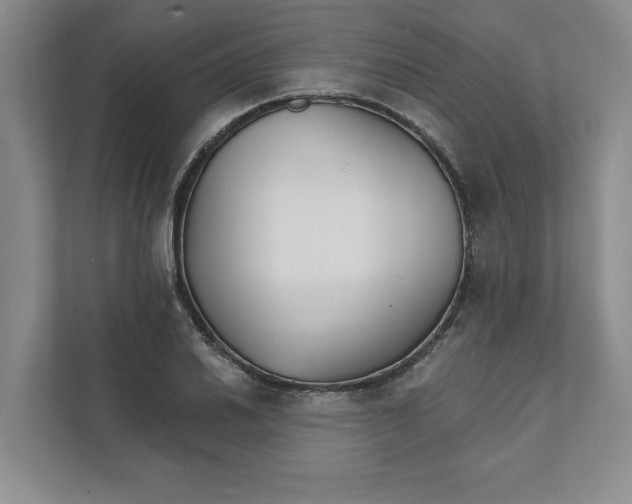 X0000111931030200908171232