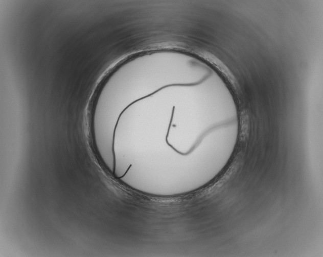 X0000111931031200908171232