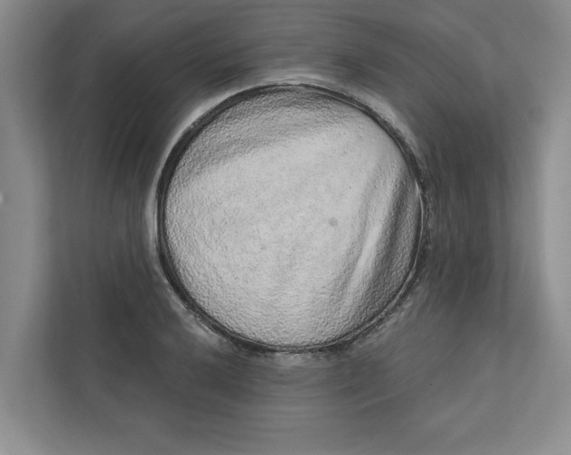 X0000111931032200908171232