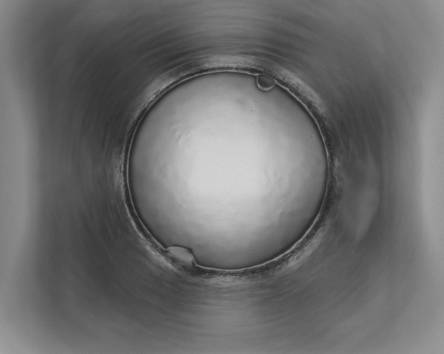 X0000111931033200908171232