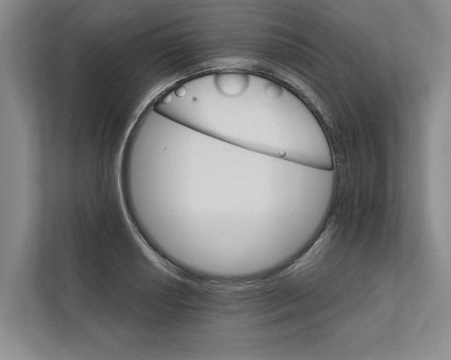 X0000111931034200908171232