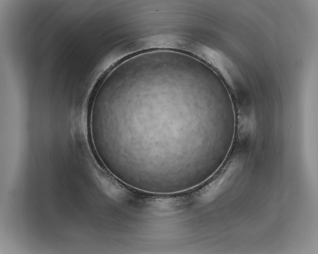 X0000111931035200908171232