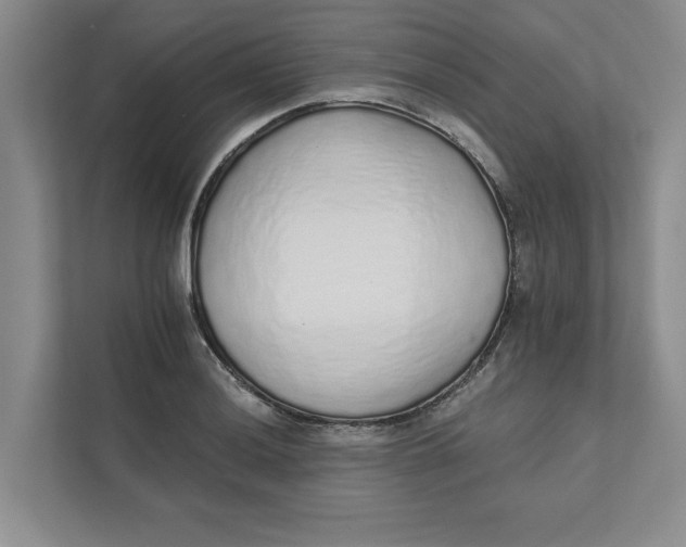 X0000111931036200908171232