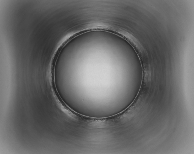 X0000111931038200908171232