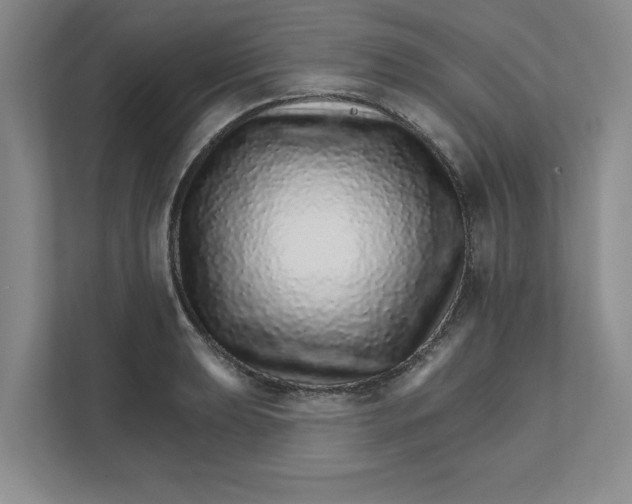 X0000111931039200908171232