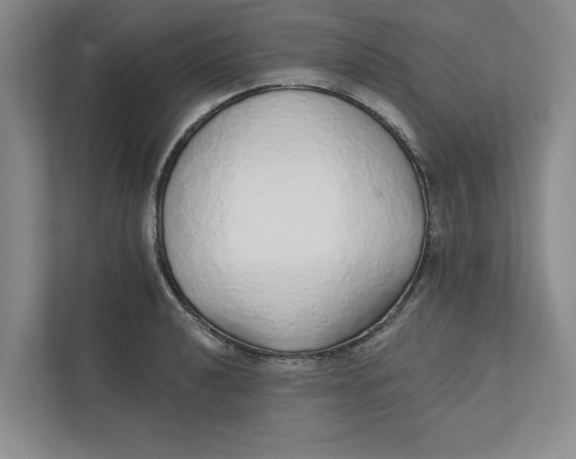 X0000111931040200908171232