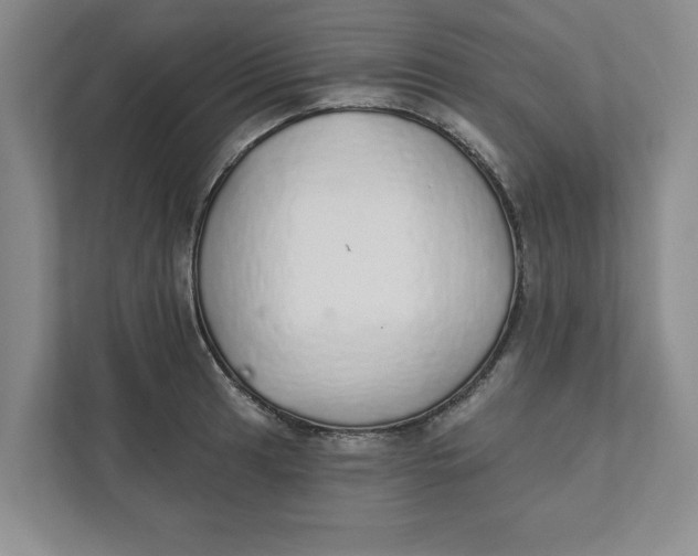 X0000111931041200908171232