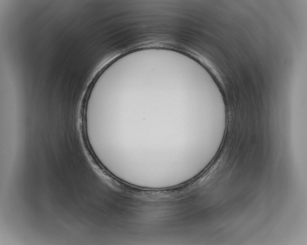 X0000111931042200908171232