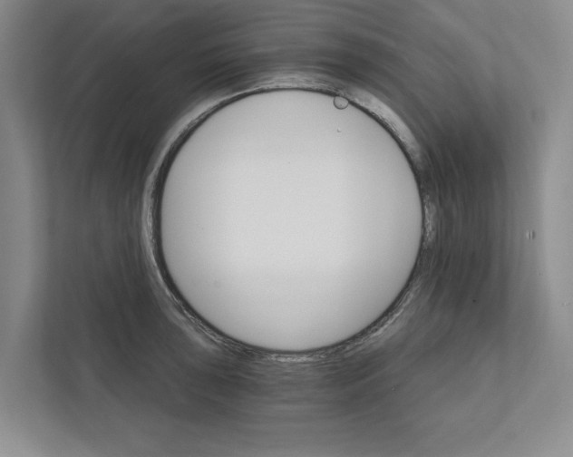 X0000111931043200908171232