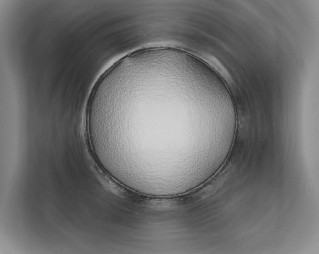 X0000111931044200908171232