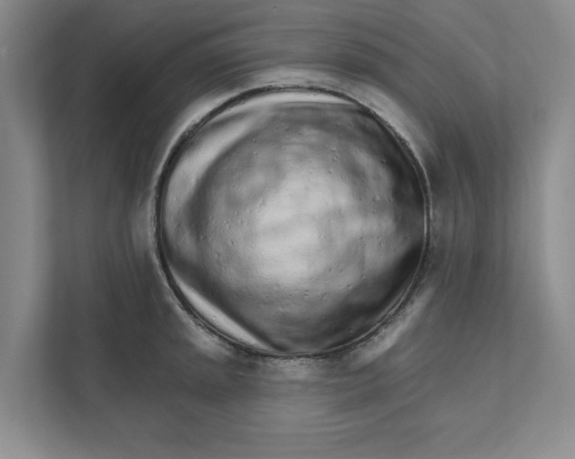 X0000111931045200908171232