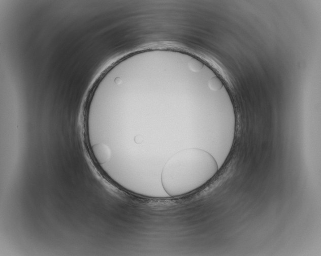 X0000111931046200908171232