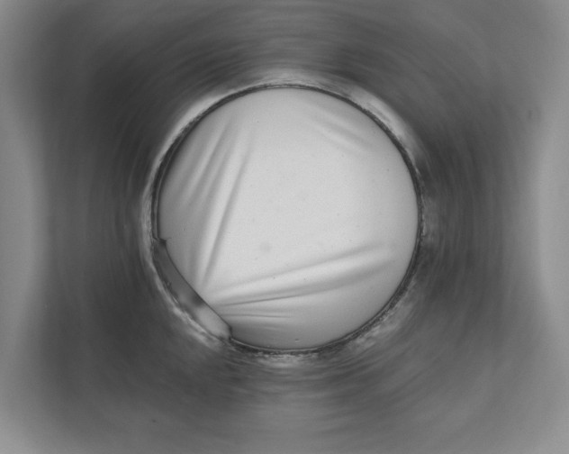 X0000111931048200908171232