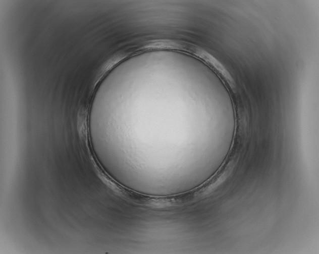 X0000111931049200908171232