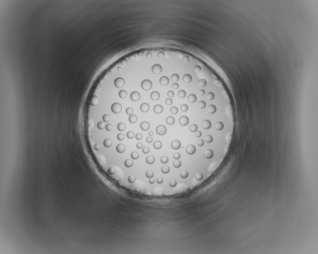 X0000111931053200908171233