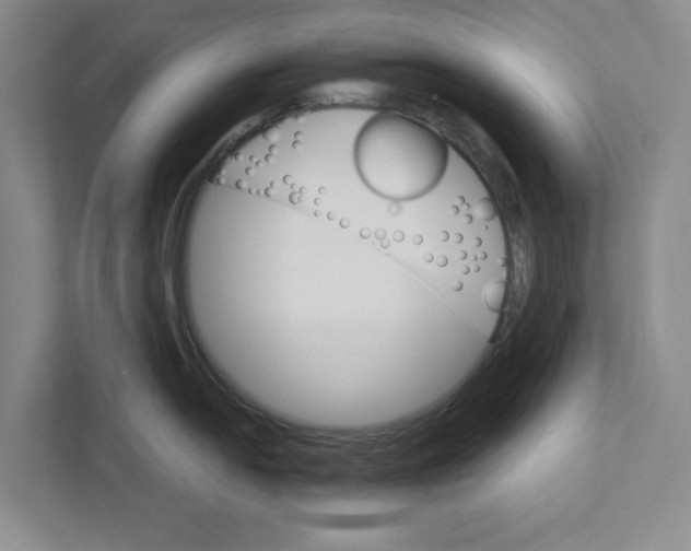 X0000111931054200908171233