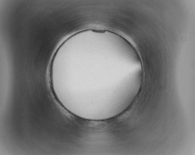 X0000111931056200908171233