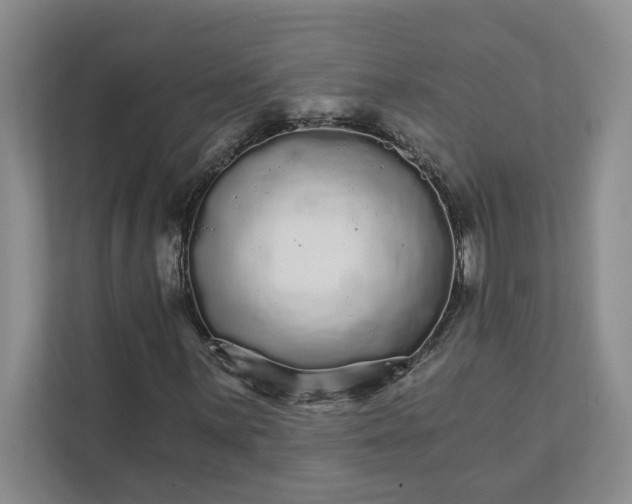 X0000111931059200908171232