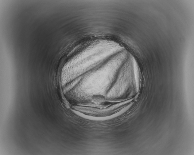 X0000111931060200908171232