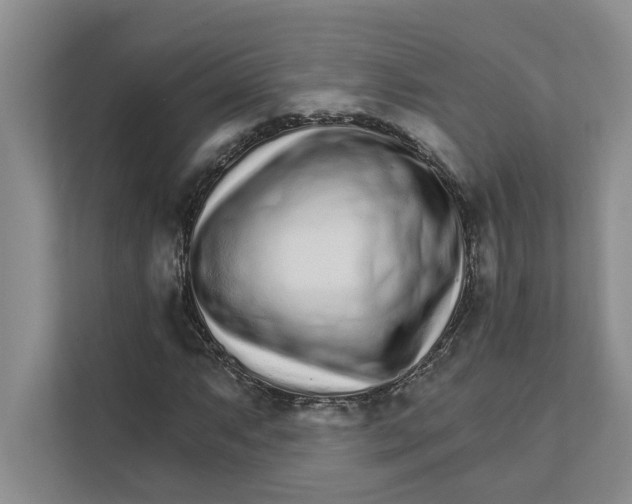 X0000111931063200908171232