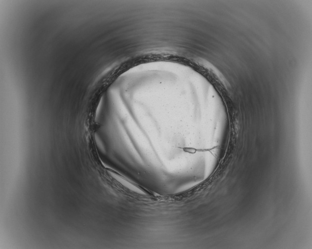 X0000111931064200908171232