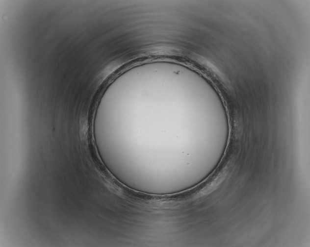 X0000111931065200908171232