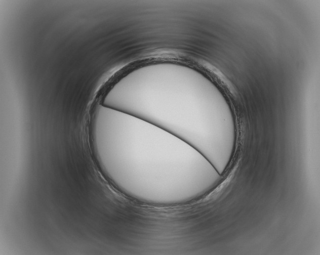 X0000111931066200908171232