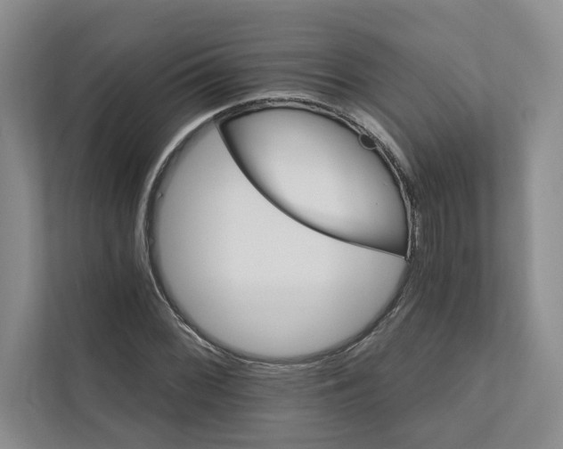 X0000111931068200908171232