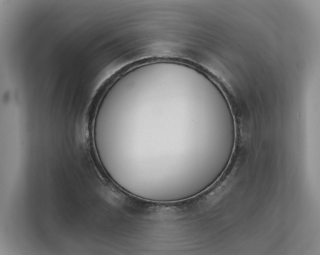 X0000111931070200908171232