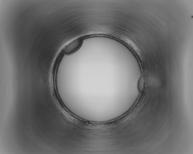 X0000111931072200908171232