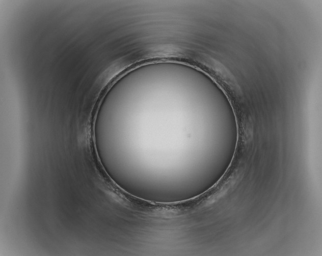 X0000111931073200908171232