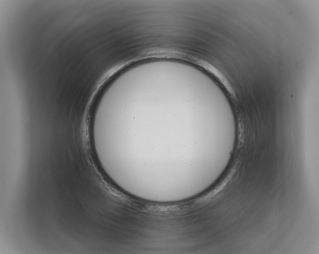 X0000111931074200908171232