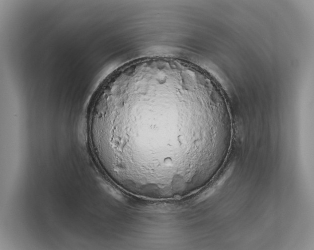 X0000111931075200908171232