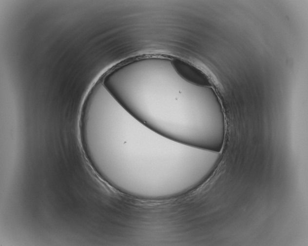 X0000111931076200908171232