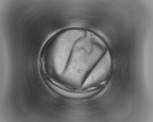 X0000111931077200908171232