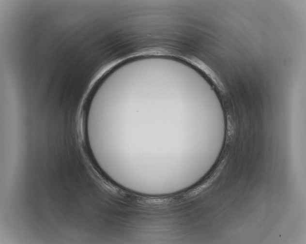 X0000111931078200908171232