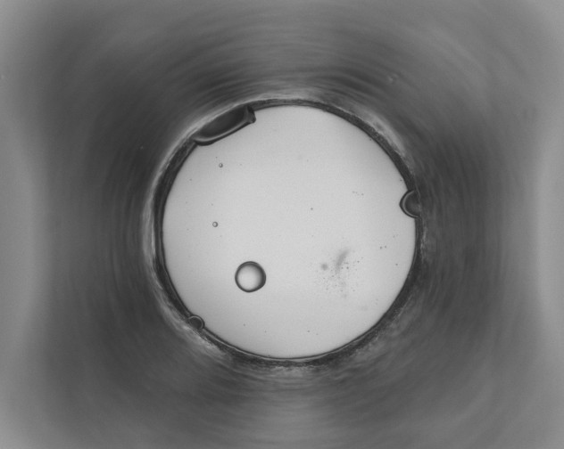 X0000111931080200908171232