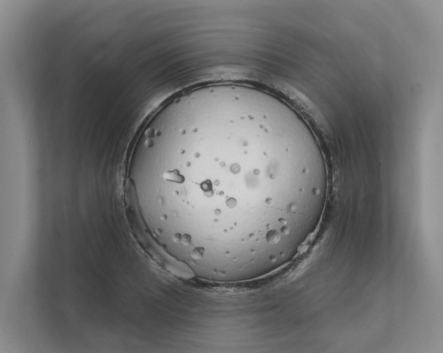 X0000111931081200908171232