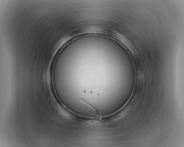 X0000111931082200908171232