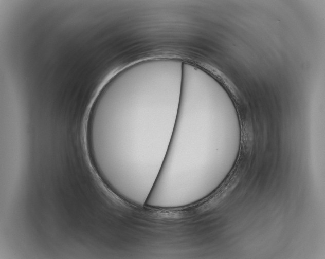 X0000111931083200908171232