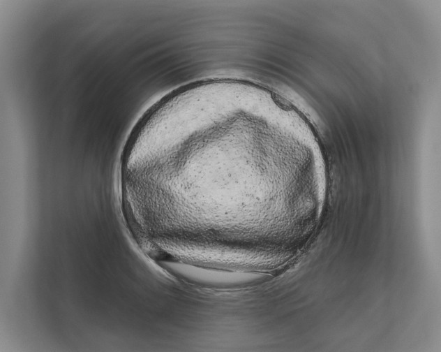 X0000111931084200908171232