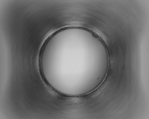 X0000111931085200908171232