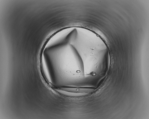 X0000111931088200908171232