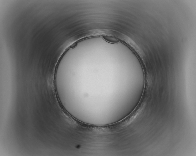 X0000111931089200908171232