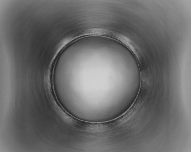 X0000111931091200908171231