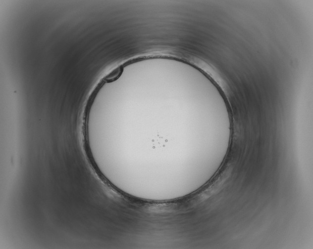 X0000111931093200908171231