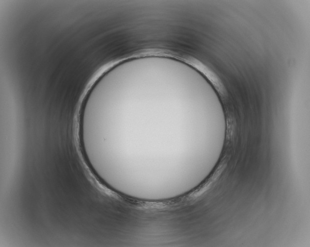 X0000111931094200908171231